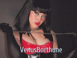 VenusBorthune