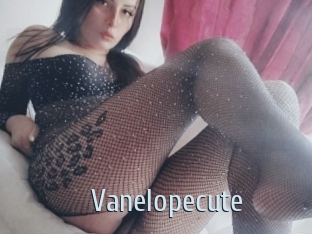 Vanelopecute