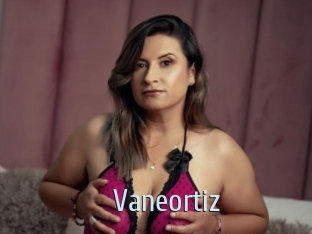 Vaneortiz
