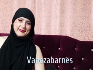 Vanezabarnes