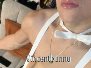 Vincentbunny