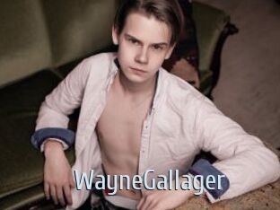 WayneGallager