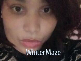 Winter_Maze