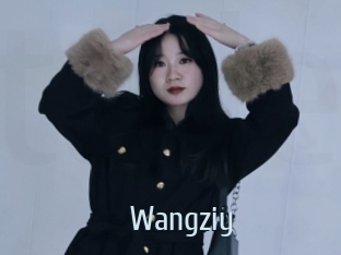 Wangziy