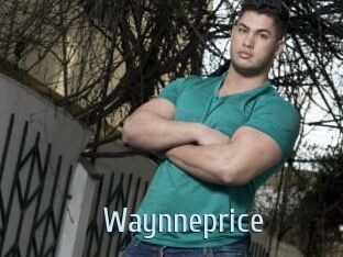 Waynneprice