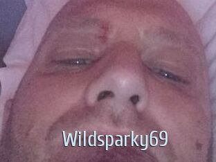 Wildsparky69