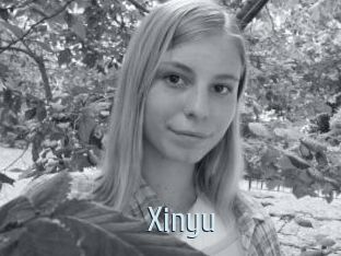 Xinyu