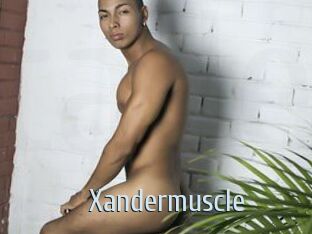 Xandermuscle
