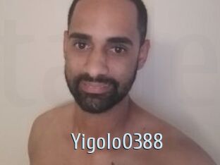 Yigolo0388