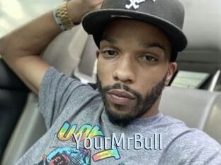 YourMrBull
