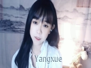 Yangxue