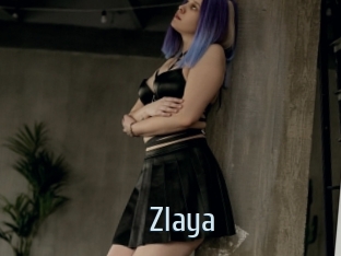 Zlaya